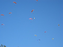 Nuée de parapentes 07
